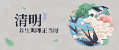 清明時節雨紛紛 疏通經絡馬上給身體加分！